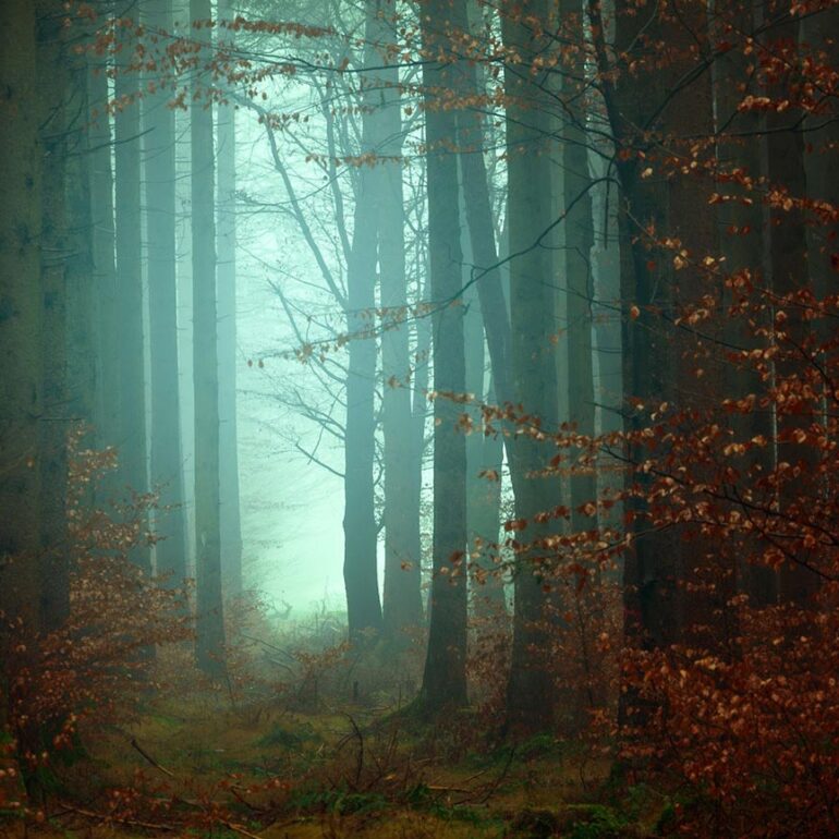 light